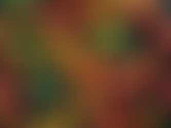 Discover What We Grow