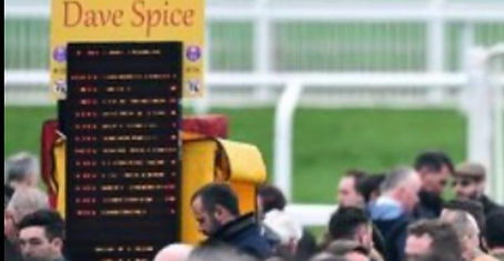 SpiceOn-Coursewide.jpg