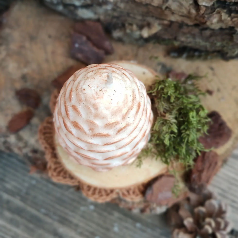 Miniature : Ambiance SOUS-BOIS - Bougie moulée & parfumée POMME DE PIN