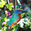 Thumbnail: Kingfisher Bird Suncatcher