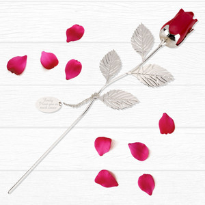 Valentines Day present ideas 