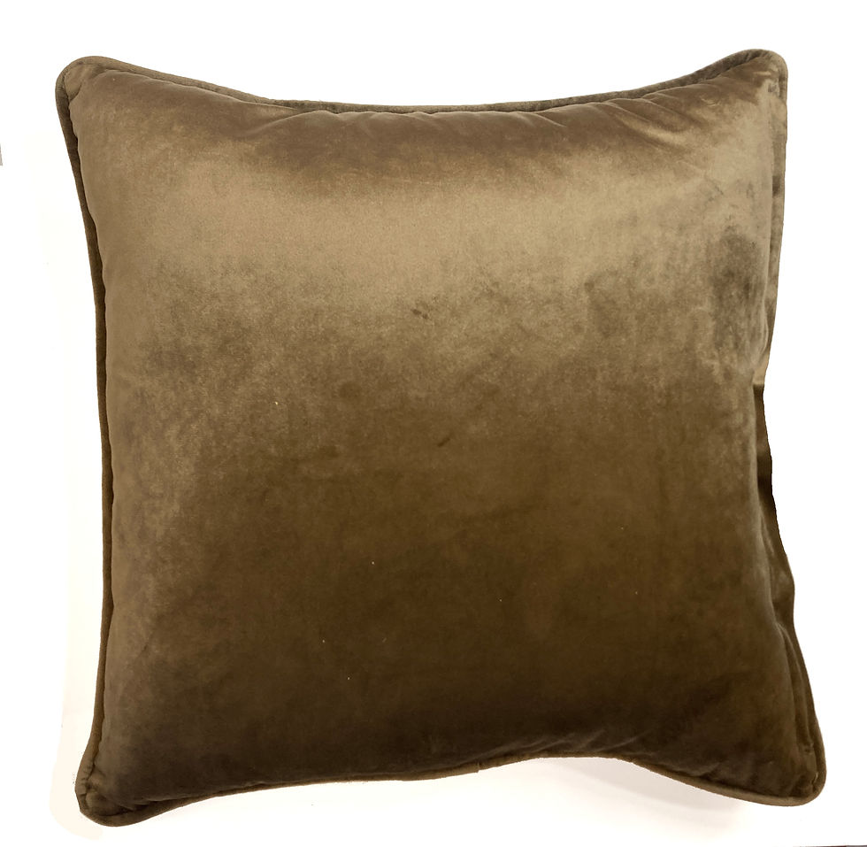 Thumbnail: Piped Velvet Cushion Cover