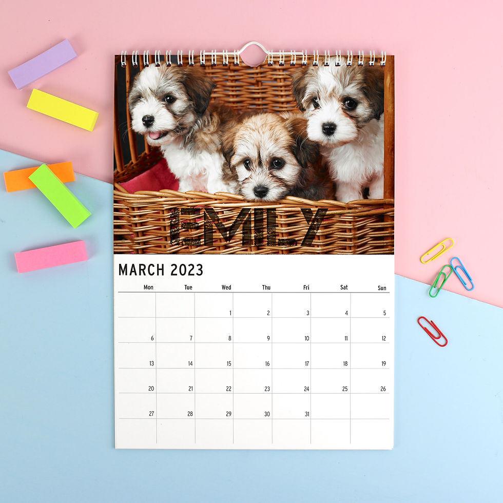 Thumbnail: Personalised A4 Barking Mad Calendar