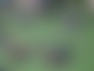 什麼是戰棋遊戲Miniatures War Game