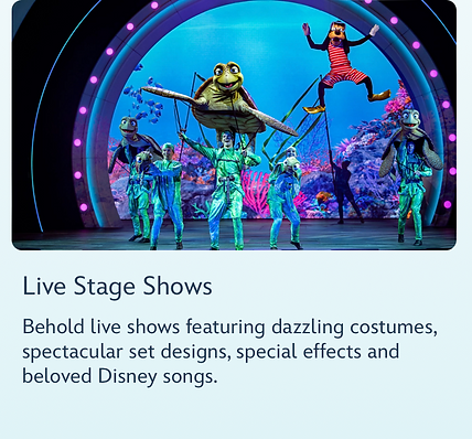 Disney Adventure Live Stage Shows