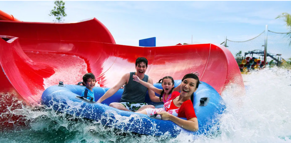 Sea World At Yas Island