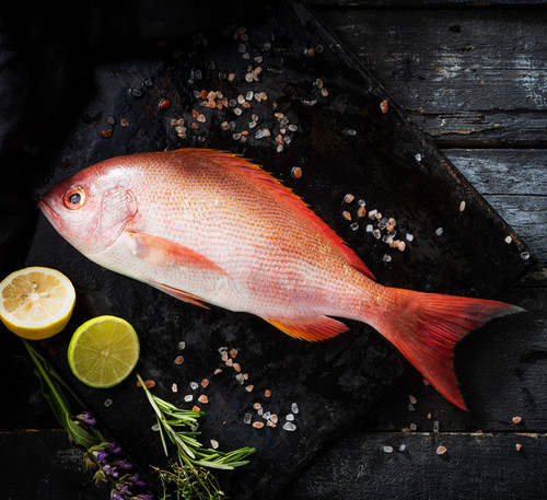 Red Snapper Fillets | Neptune's Table