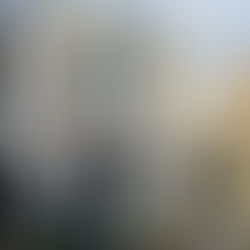 Restoring a Victorian Property in Huntingdon with Dustless Wet Blasting