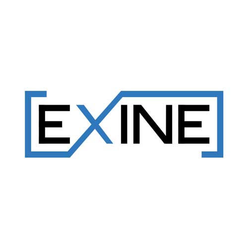 exine logo