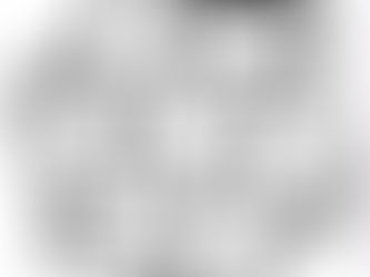 Which Manufacturing Association?