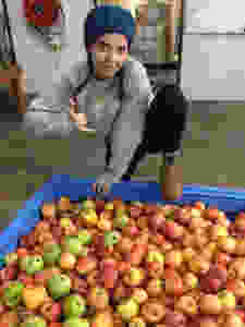 Girl in woolly hat and jumper posing with a big crate of apples