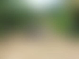 Des orphelins heureux de jouer, de vivre