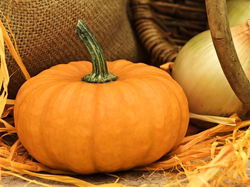 NOVEMBRE