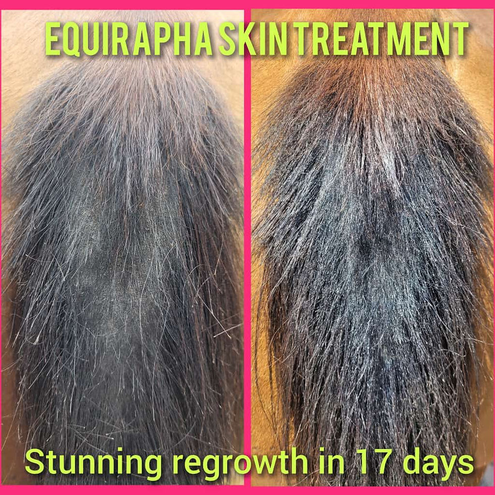 Thumbnail: Equirapha Skin Treatment