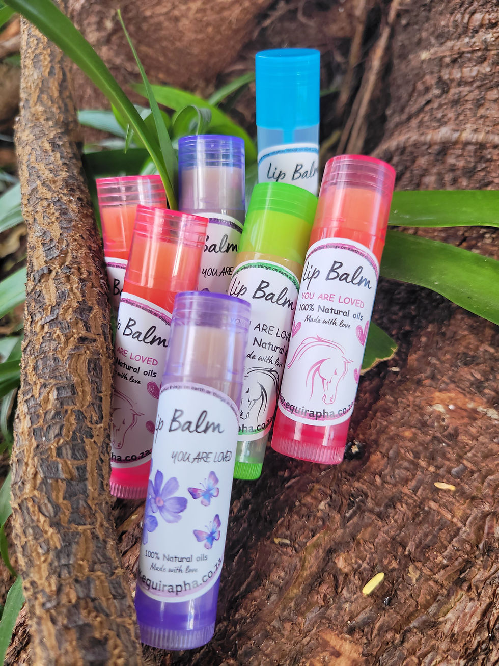 Thumbnail: Equirapha Lip Balm