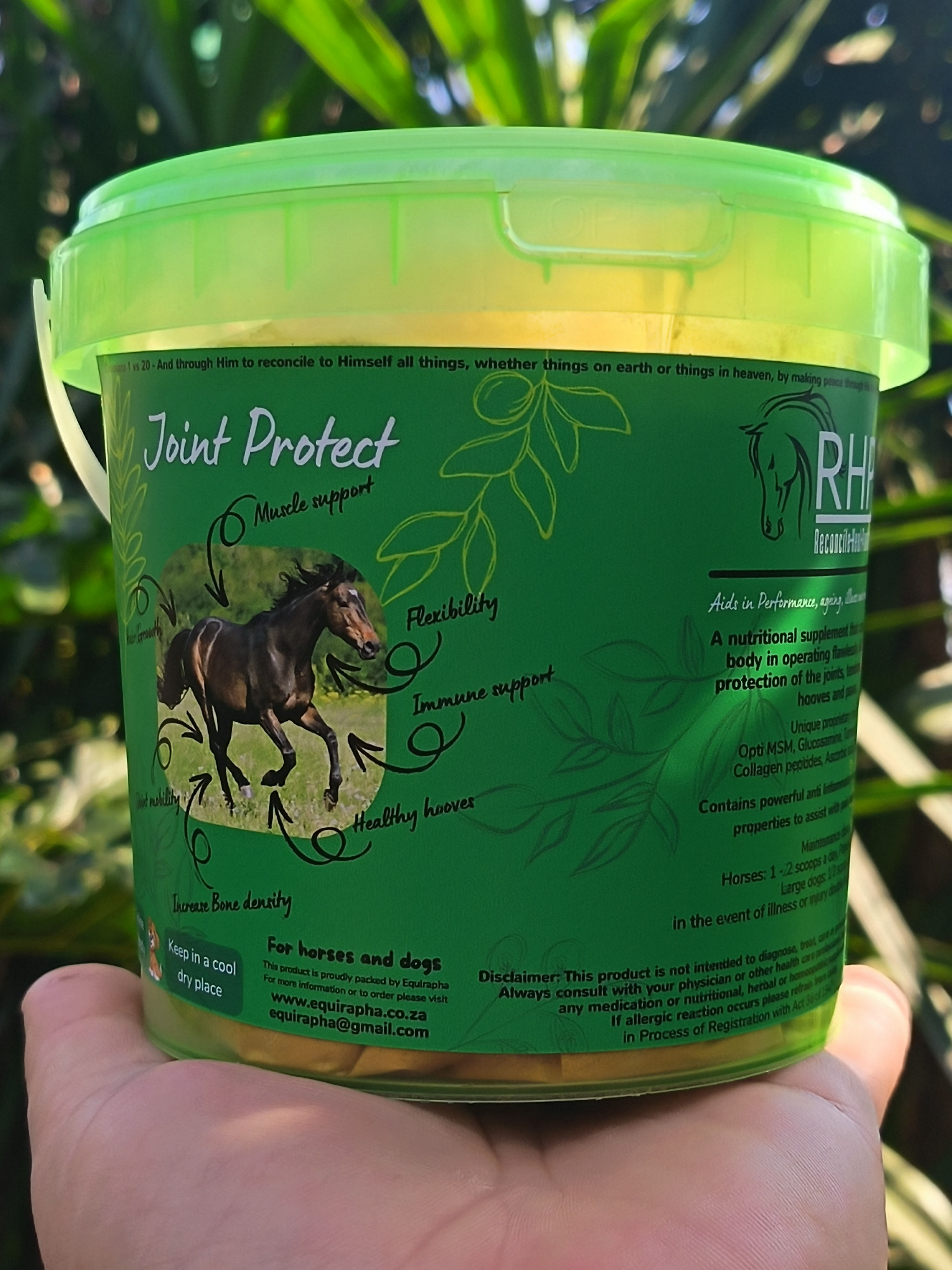 Equirapha Joint Protect