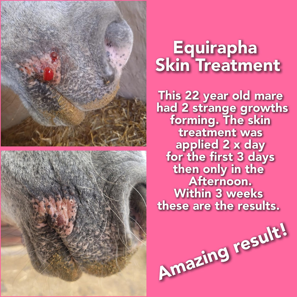 Thumbnail: Equirapha Skin Treatment
