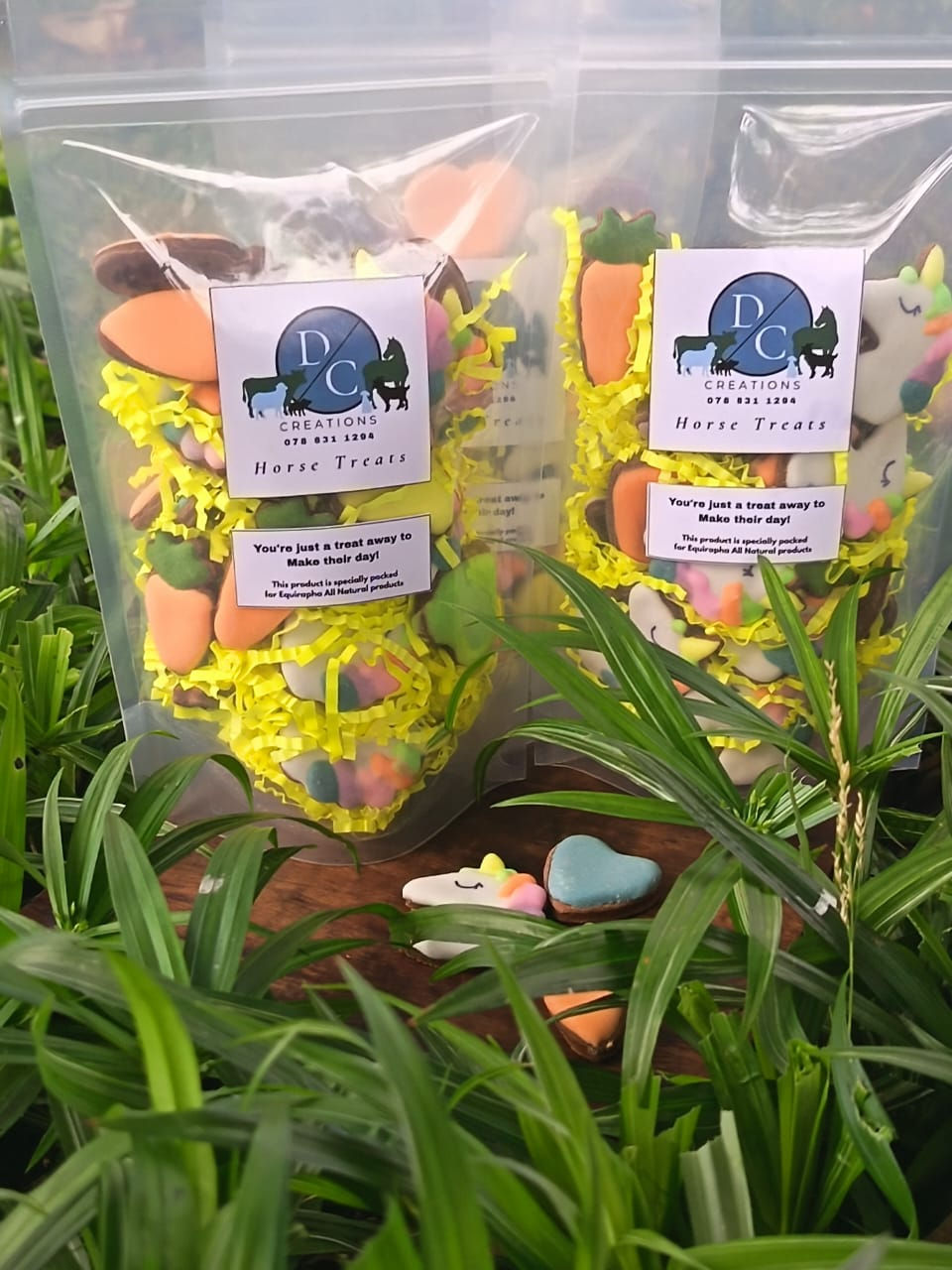 Thumbnail: Horse Cookies