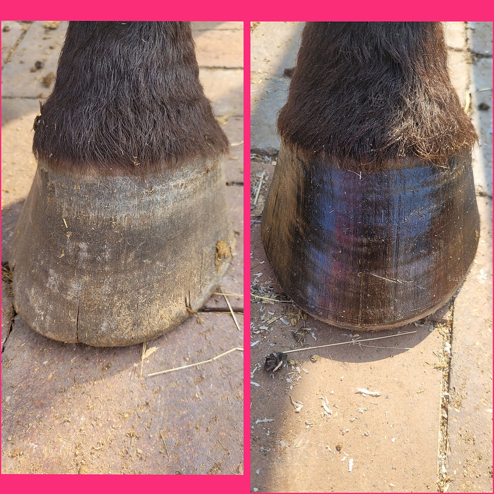 Thumbnail: RHP Hoof Ointment