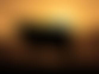 Exploring the Journey of Raising Wagyu Beef on a Dairy Farm in Wisconsin