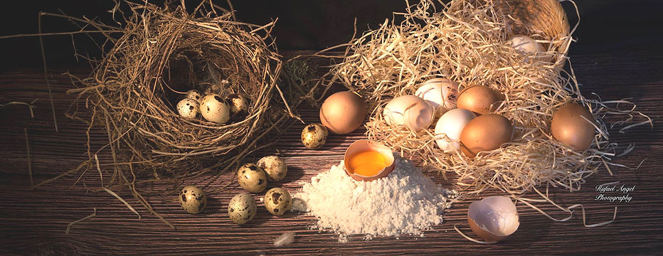 HUEVOS copia2.jpg