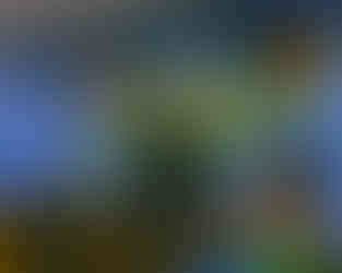 computers and wall art