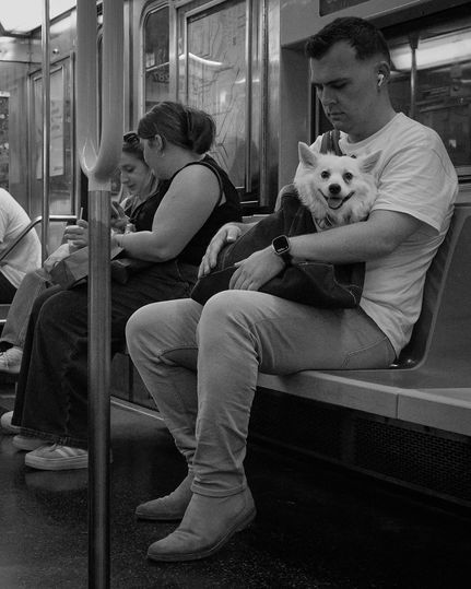 subway dog