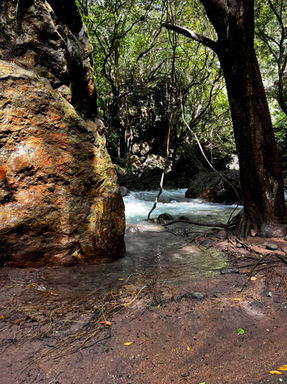 WhatsApp Image 2022-12-31 at 18.17.37.jpeg