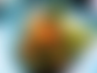 Foodie Blog by Klara - žuta salata, dekonstruirani rižito i tikka ražnjići