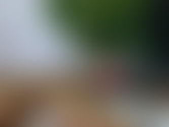 Foodie Blog by Branka - bogati heljdoto s gljivama i lagani kolač sa skyrom i bobicama