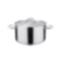 S/STEEL CASSROLE POT 30LT