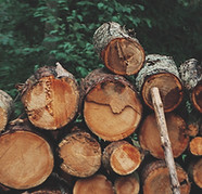 Pile of Logs