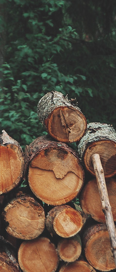 Bûches de bois empilées