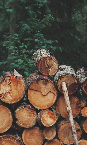 Pile of Logs