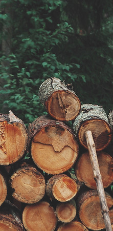 Pile of Logs