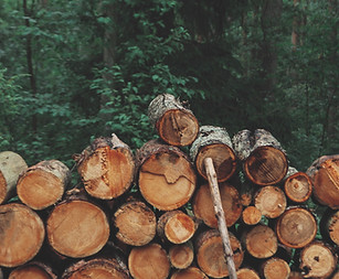 Pile of Logs