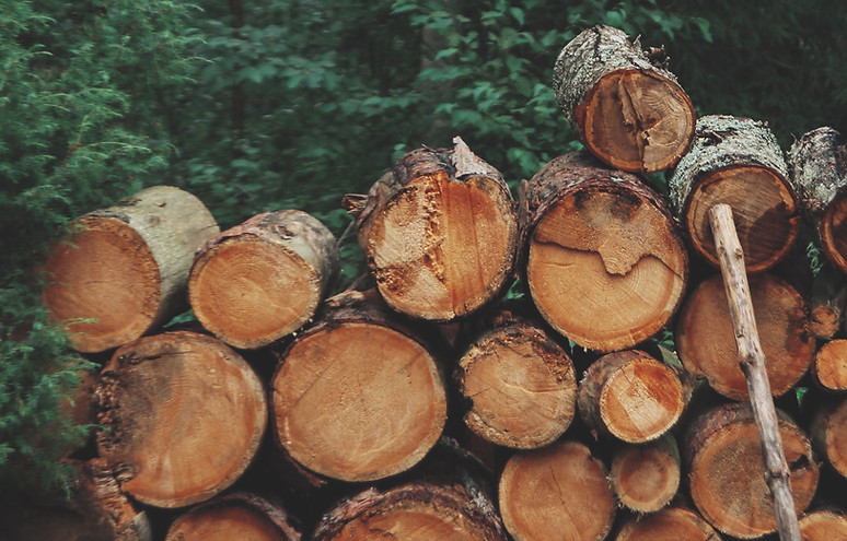 Pile of Logs