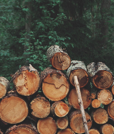 Pile of Logs