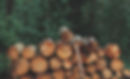 Pile of Logs