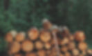 Newly cut logs at a timber merchant's