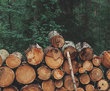 timber and wood malaysia