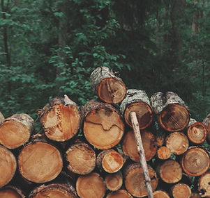 Pile of Logs