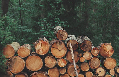 Pile of Logs
