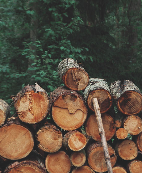 Pile of Logs