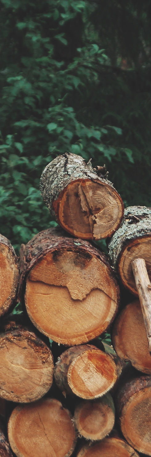Pile of Logs