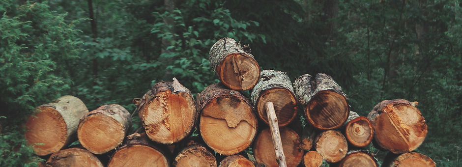 Pile of Logs