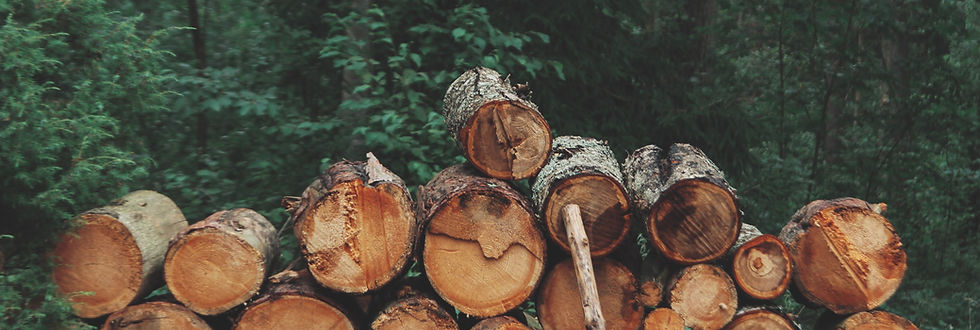 Pile of Logs