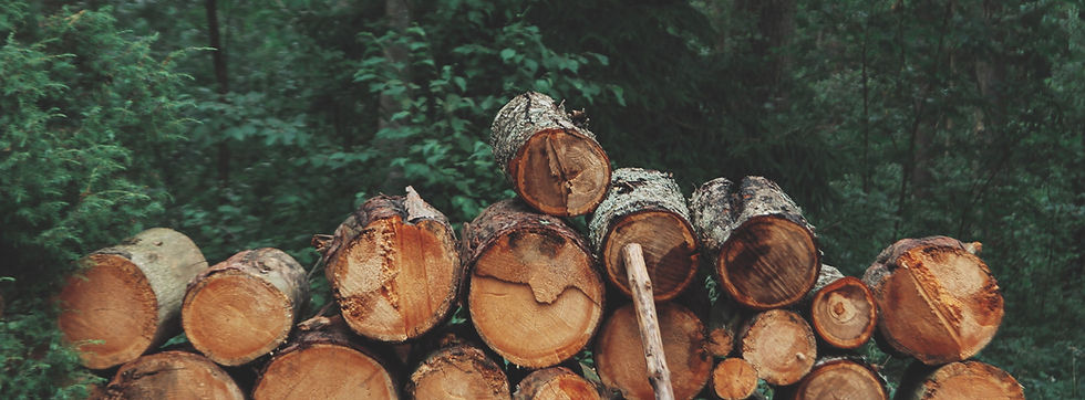 Pile of Logs