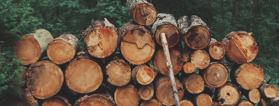 Pile of Logs