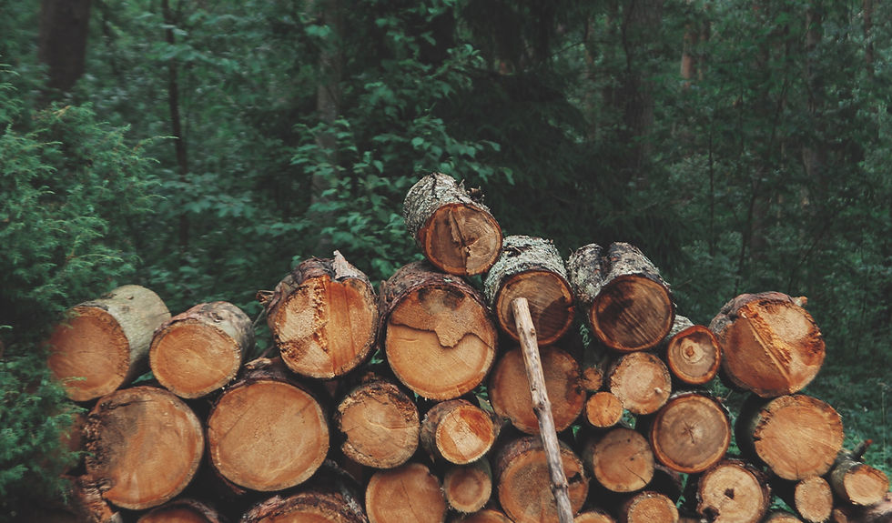 Pile of Logs